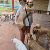 Mis Perrijos - @norma.warrell3 - TikTok