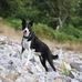 Norma Watt - Facebook