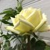 Norma Watt - Facebook