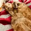 normaweir895 - @normaweir895 - TikTok