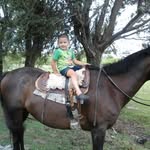 Norma Weisbeck - @normaweisbeck - Instagram