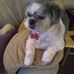 Norma Wells - Facebook