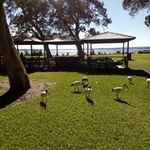 colleen weston - @normaweston40 - Instagram