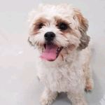 Norma whitfield - @normawhitfield21 - Instagram