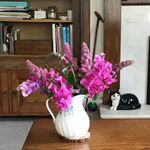 Norma Wiley - @harlanddog5 - Instagram