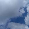 Norma Williams - @norma.williams87 - TikTok