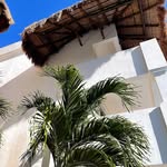Norma Willard - @normawillard6 - Instagram