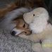Norma Williamson - Facebook