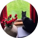 Norma Wingfield - @normawingfieldc.f.v - Instagram