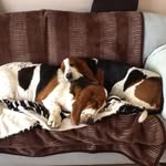 Norma Winterton - @norma.winterton - Instagram