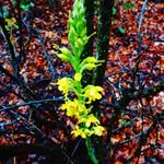 Wisdom - @_____wisdom_____norman_63hg._ - Instagram
