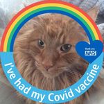 Norma Withers - @norma.withers.58 - Instagram