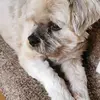 normanwithers762 - @normanwithers762 - TikTok