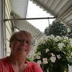 Norma Wolff - @wolflady2001 - Instagram