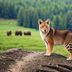Norma Wong - Facebook