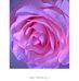Normaris Wong - Facebook