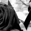 normawongreyna - @mitareyna6 - TikTok