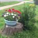 Norma Woods - Facebook