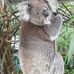 Norma Woods - Facebook