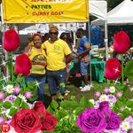 Norma Wright - @norm359 - Instagram