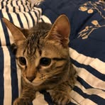 Norma Wu - Facebook