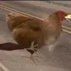 Normawu - @norm6w - TikTok