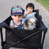 Norma Ybarra - @nyba73 - TikTok