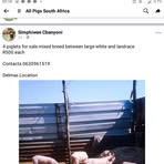 Norman Amos Sibuyi - Facebook