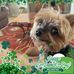 Norman Barr - Facebook