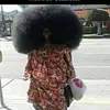 baumgartnernorman - @baumgartnernorman - TikTok