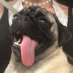 Norman Bean - @bean_norman - Instagram