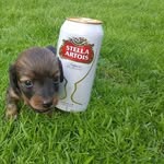 Norman Bean - @normanbean28 - Instagram