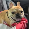 Norman Bean - @normanbean - TikTok