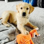 Norman Bean - @storminnormanbean - Instagram
