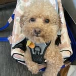 Norman Bean - @normanthebean - Instagram