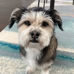 Norman - @normanbeanss - Instagram