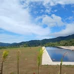 Norman Piliang - Facebook