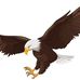 Norm Bird - Facebook