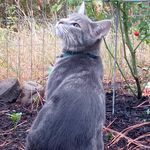 Norman Blackburn - @norman.blackbean - Instagram