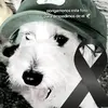 curli😿🕊️🕊️🕊️:'( mi babi - @norman.blandn - TikTok