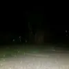 norman - @normans.bland - TikTok