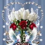 Norman Blase - Facebook