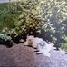 Normand Blais - Facebook