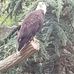 Norman Blevins - Facebook