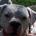 Norman Blevins - Facebook