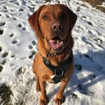 Norman Bloomfield - @norman.bloomfield.545 - Instagram