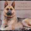 Norman Bond - @norman.bond - TikTok
