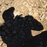 Norman Boucher - @nlb1205 - Instagram