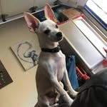 William Norman Boucher - @boucherbilly - Instagram