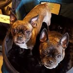 Rickman Norman - @norman.rickman - Instagram